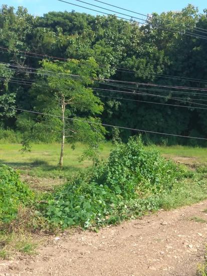 ที่ดินว่างเปล่าหลุดจำนอง ธ.ธนาคารกสิกรไทย อุตรดิตถ์ ตรอน น้ำอ่าง